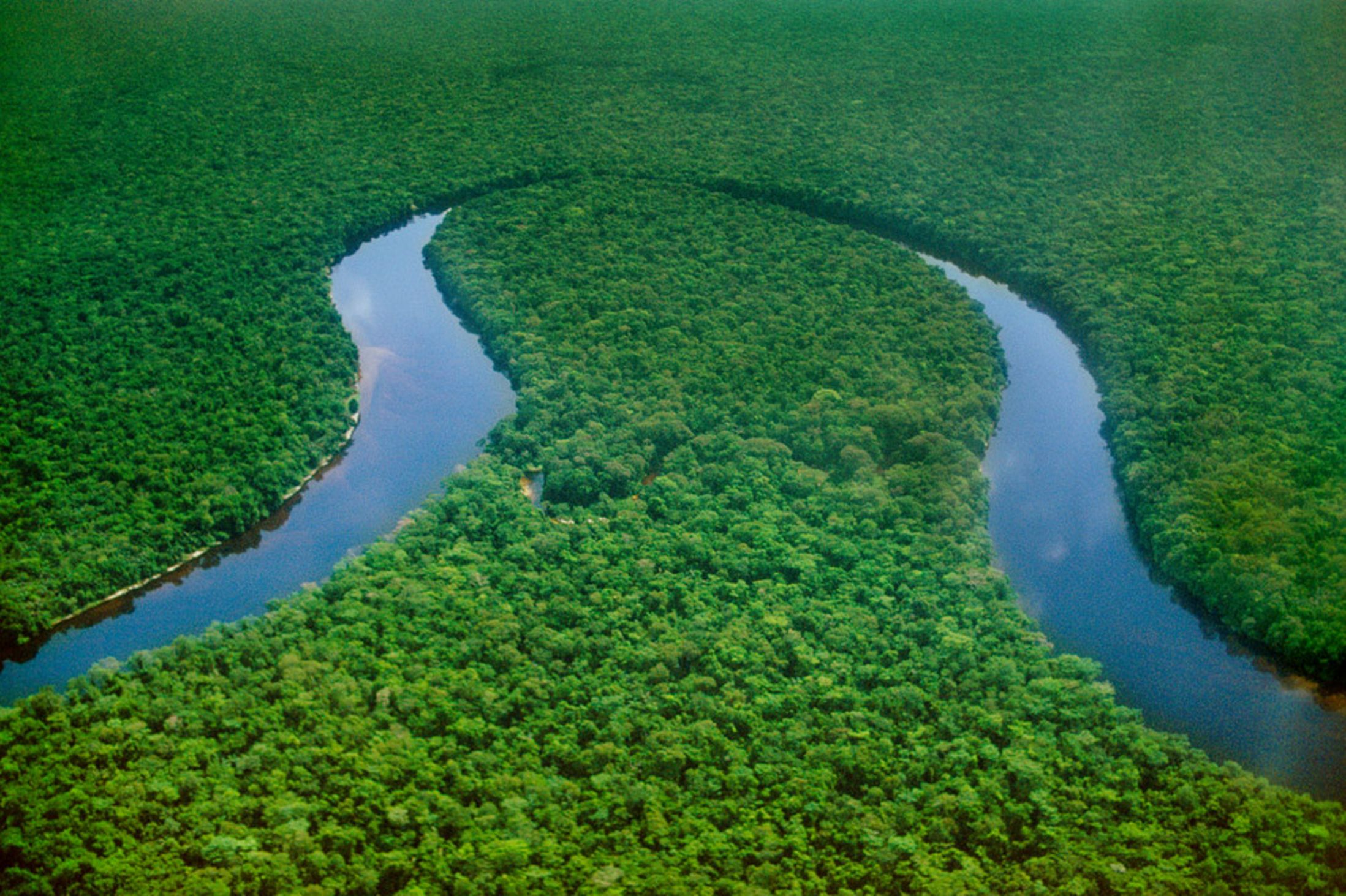 Congo River Facts